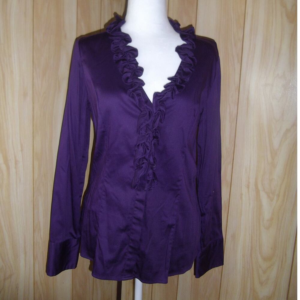 Fred David Stretch Purple Ruffled V-Neck Long Sleeve Top M